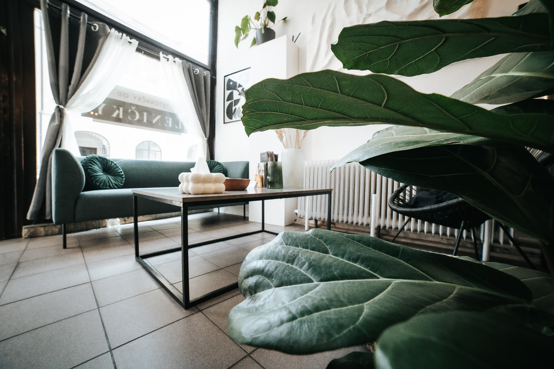 Interiérová fotografie — útulný lounge s rostlinami